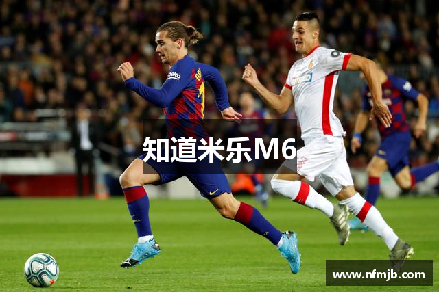 知道米乐M6